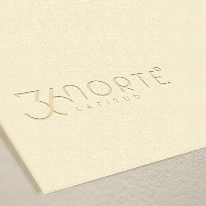 diseño de logotipo para empresa de viajes