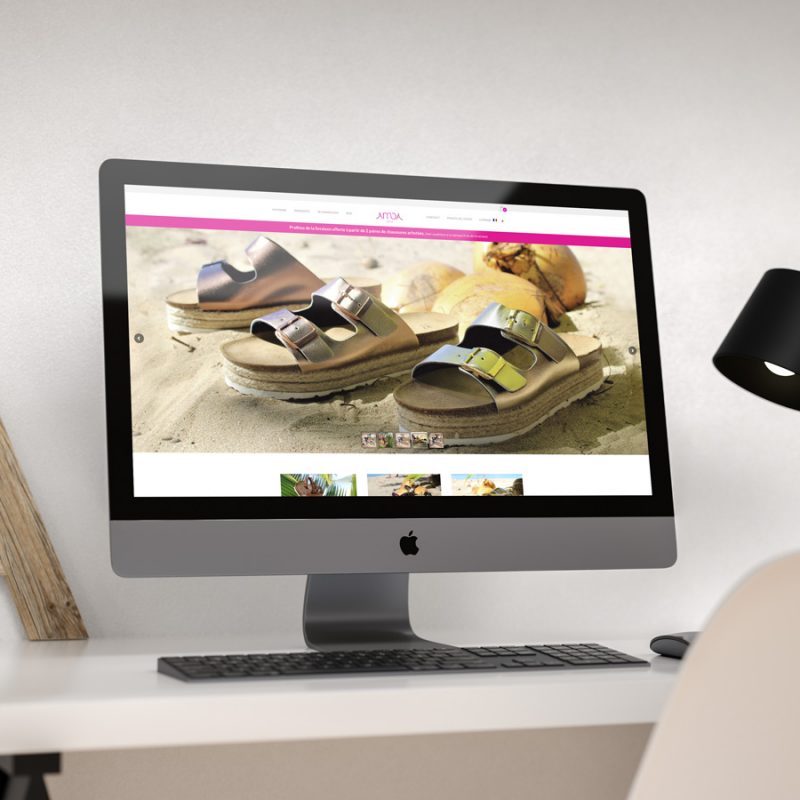AMOAPARIS Diseño y programación web en tienda online de productos