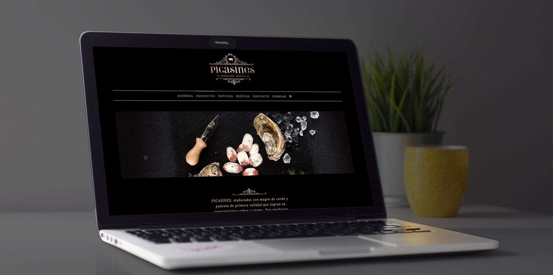 Picasines, tienda de venta online para empresa de embutidos en Pizarra
