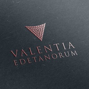 Vinos Valentia, packaging de productos