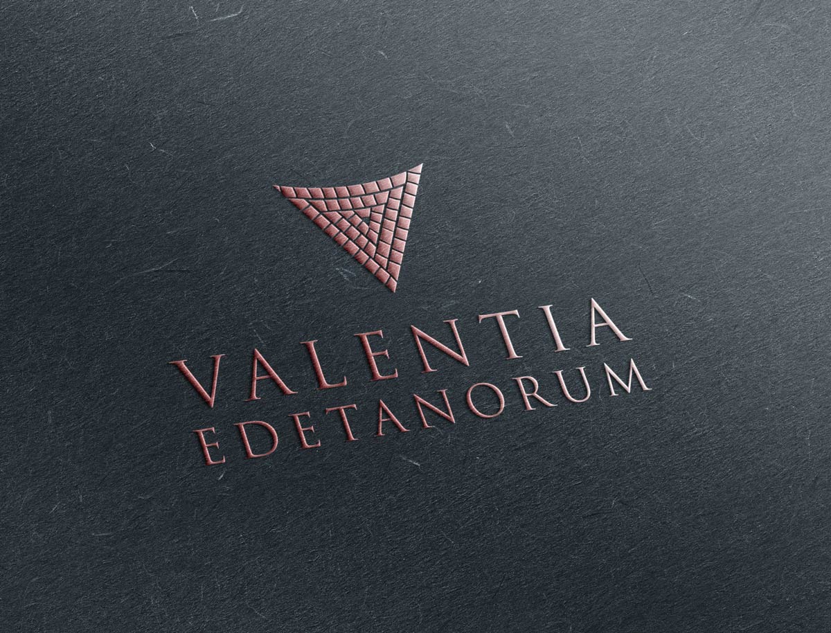 Vinos Valentia, packaging de productos