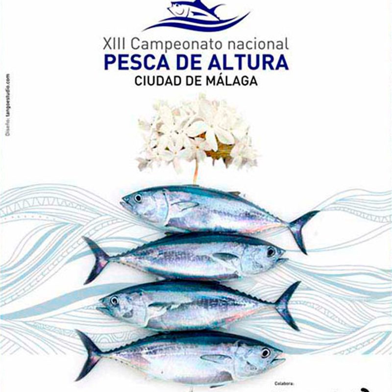 XIII Campeonato nacional, pesca de altura, anuncio creativo