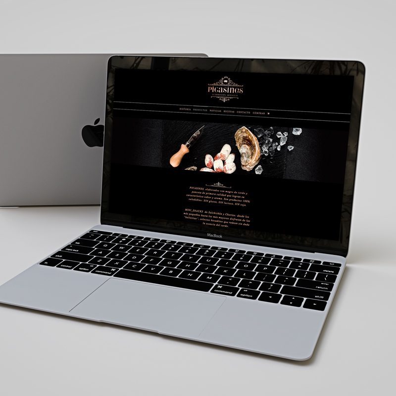 PICASINES MÁLAGA Picasines, diseño web, branding y web