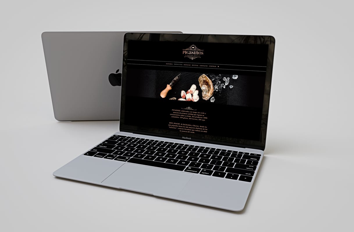 Picasines, diseño web, branding y web