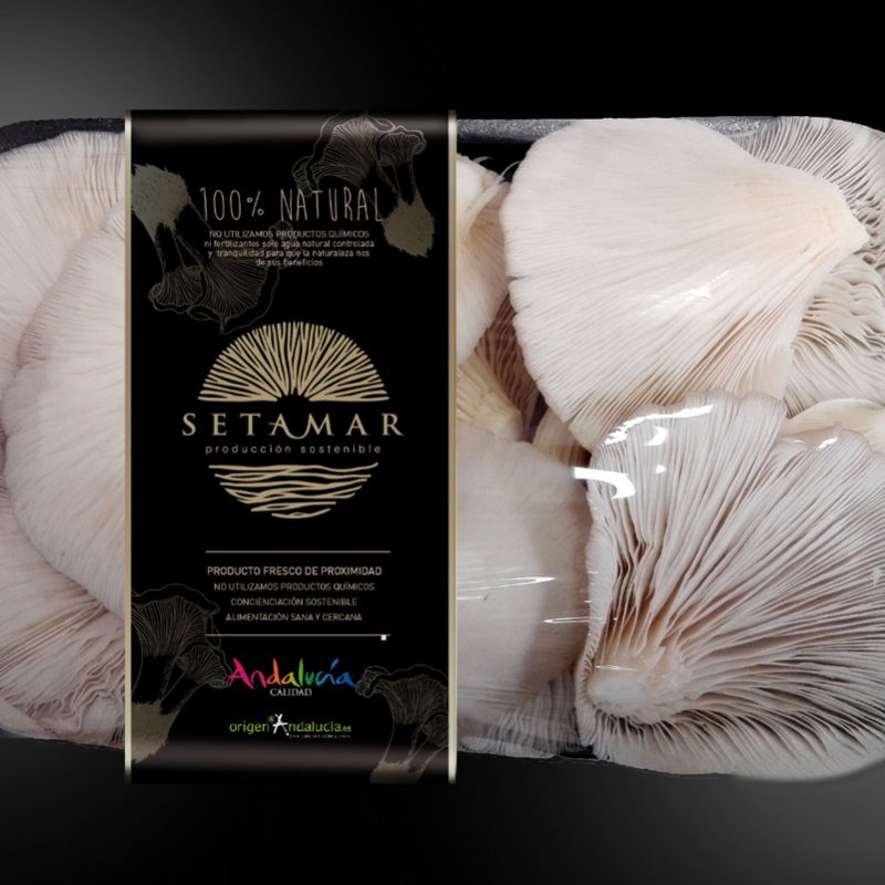 Setamar, diseño sostenible, etiqueta de producto