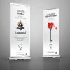 DISEÑO DE ROLL UP