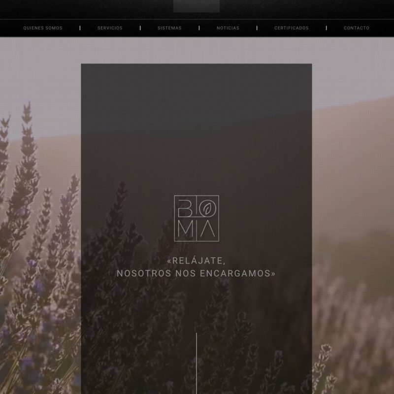 BOMAMÁLAGA EMPRESA DE SERVICIOS DISEÑO WEB